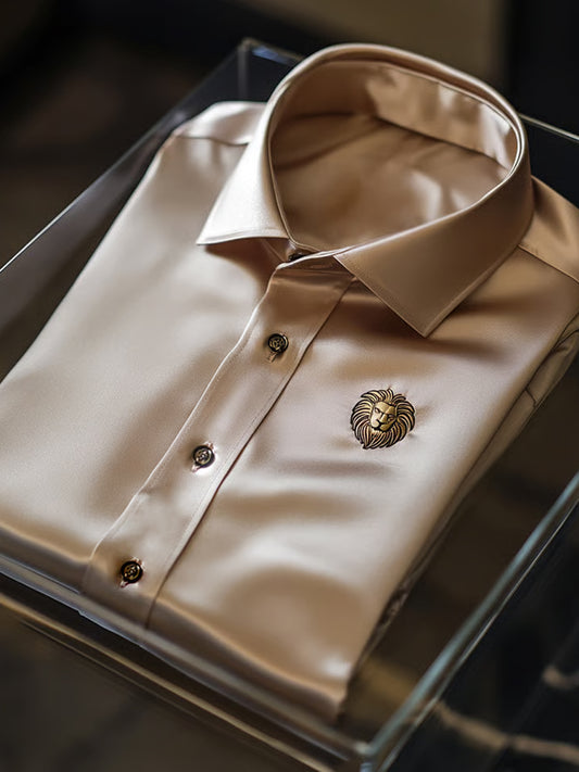 Ανδρική επιχείρηση πολυτελεία επιχειρηματικό στυλ μακριά μανίκι πουκάμιση